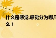 什么是感觉,感觉分为哪几种（感觉是什么 感觉的概念是什么）