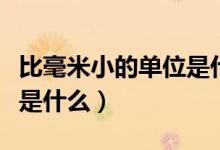 比毫米小的单位是什么样的(比毫米小的单位是什么)