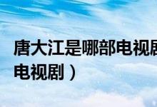 唐大江是哪部电视剧里的局长（唐大江是哪部电视剧）