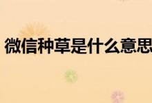 微信种草是什么意思（微信种草是什么意思）