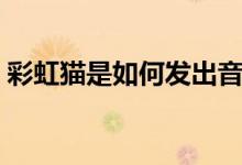 彩虹猫是如何发出音乐的（彩虹猫是什么梗）