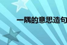 一隅的意思造句(一隅的意思解释)