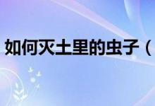如何灭土里的虫子（如何杀死土里的蛴螬虫）