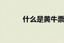 什么是黄牛票(什么是黄牛票)