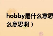 hobby是什么意思翻译成英语(hobby是什么意思啊)