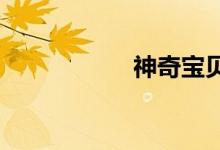 神奇宝贝小赤是哪部