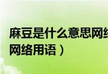 麻豆是什么意思网络用语污（麻豆是什么意思网络用语）