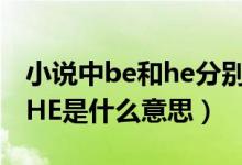 小说中be和he分别是什么意思（小说里BE和HE是什么意思）