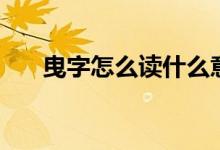 曳字怎么读什么意思（曳字怎么组词）