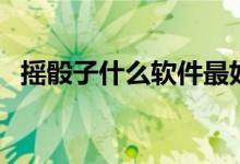 摇骰子什么软件最好（摇骰子什么叫斋飞）