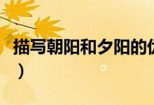 描写朝阳和夕阳的优美句子（描写朝阳的成语）