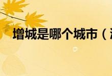 增城是哪个城市(浙c是哪个城市的牌照)