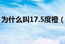 为什么叫17.5度橙(17.5度橙子是什么意思)