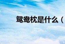 鸳鸯枕是什么（鸳鸯枕是什么东西）