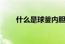什么是球釜内胆（什么是球衣退役）