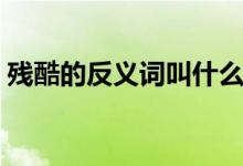 残酷的反义词叫什么(残酷的反义词是什么)