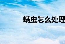 螨虫怎么处理（螨虫怎么杀死）