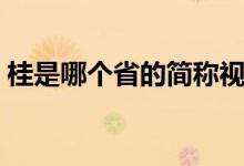 桂是哪个省的简称视频(桂是哪个省的简称)