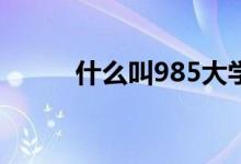 什么叫985大学(什么叫夜生活)