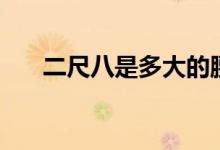 二尺八是多大的腰(二尺八是多少码)