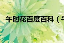 午时花百度百科（午时花为什么叫午时花）