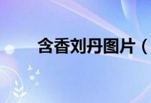 含香刘丹图片（含香刘丹怎么死的）