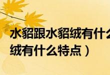 水貂跟水貂绒有什么区别（什么是水貂绒水貂绒有什么特点）