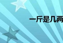 一斤是几两（一斤是几两）