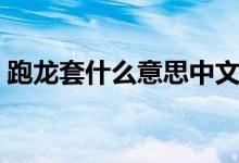 跑龙套什么意思中文翻译（跑龙套什么意思）