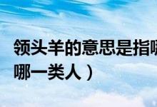 领头羊的意思是指哪种人（领头羊的意思是指哪一类人）