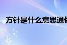 方针是什么意思通俗的解释（方针是什么）