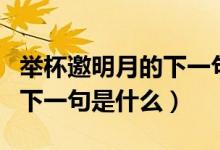 举杯邀明月的下一句诗是什么（举杯邀明月的下一句是什么）