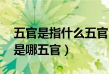 五官是指什么五官（五官是哪五官 五官指的是哪五官）