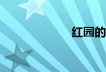 红园的梗是什么？