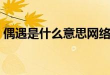 偶遇是什么意思网络用语(偶遇是什么意思)