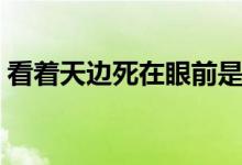 看着天边死在眼前是什么歌（是歌曲起风了）