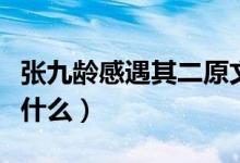 张九龄感遇其二原文（张九龄感遇其二原文是什么）
