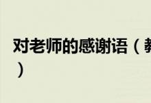 对老师的感谢语（教师节祝福老师的简短句子）