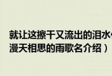 就让这擦干又流出的泪水化作漫天相思的雨是什么歌(化作漫天相思的雨歌名介绍)
