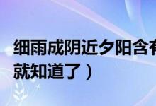 细雨成阴近夕阳含有什么节令（看完这个解析就知道了）