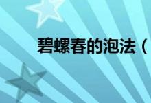 碧螺春的泡法(碧螺春的泡法介绍)