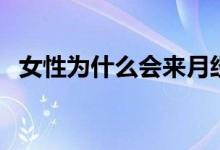 女性为什么会来月经（女性为什么会肾虚）