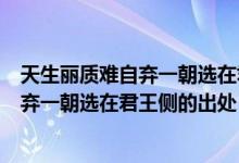 天生丽质难自弃一朝选在君王侧是什么意思（天生丽质难自弃一朝选在君王侧的出处）