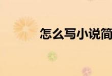 怎么写小说简介(怎么写小说)
