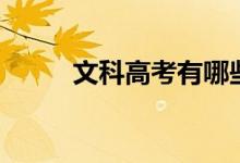 文科高考有哪些科目（分数多少）
