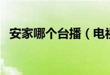 安家哪个台播(电视剧《安家》播放信息)