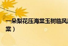 一朵梨花压海棠玉树临风胜潘安是什么意思(一朵梨花压海棠)