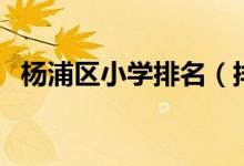 杨浦区小学排名（排名前八的杨浦区小学）