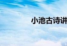 小池古诗讲解（小池古诗）