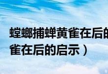 螳螂捕蝉黄雀在后的启示是什么(螳螂捕蝉黄雀在后的启示)